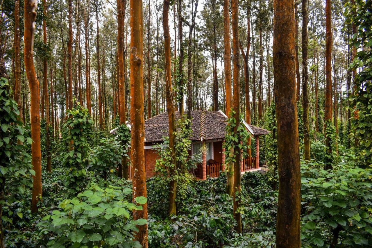 Coffee Grove Resort Chikmagalūr Eksteriør bilde