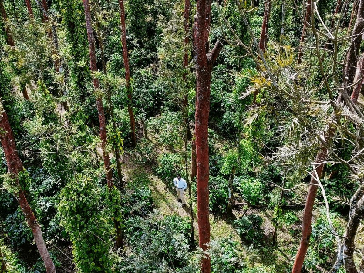 Coffee Grove Resort Chikmagalūr Eksteriør bilde