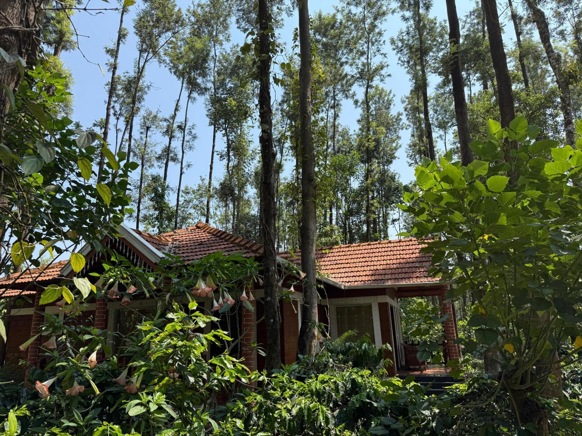 Coffee Grove Resort Chikmagalūr Eksteriør bilde