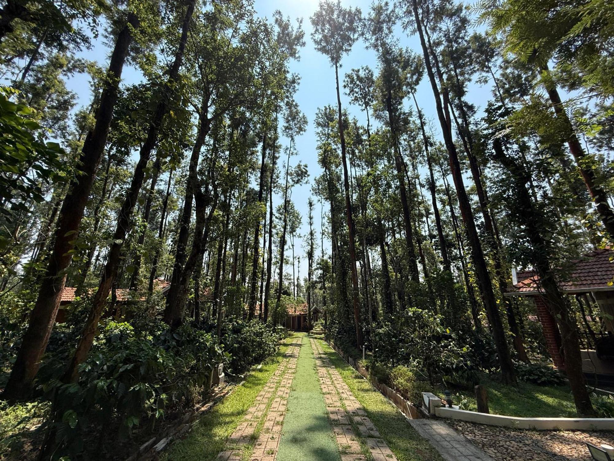Coffee Grove Resort Chikmagalūr Eksteriør bilde