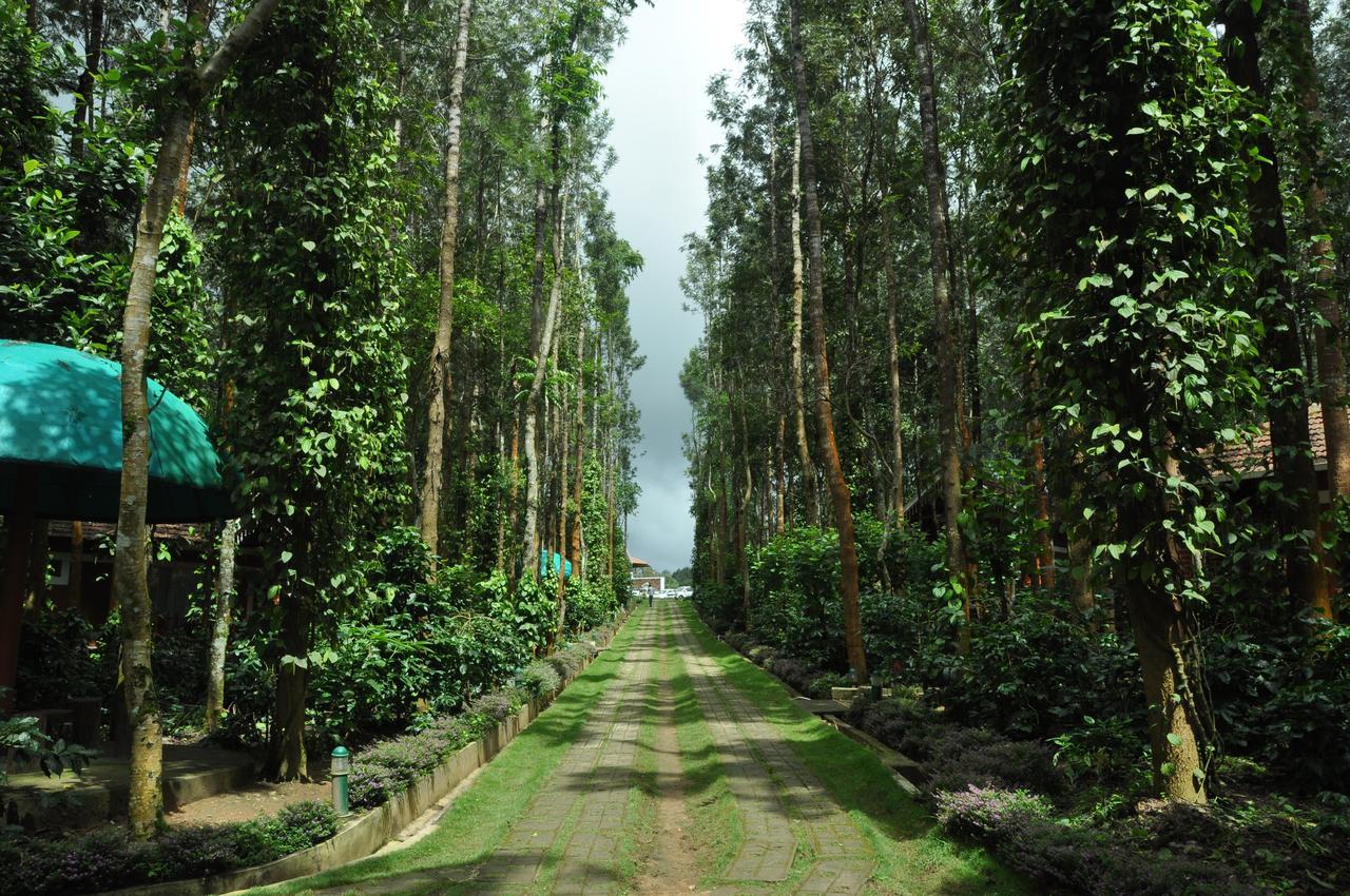 Coffee Grove Resort Chikmagalūr Eksteriør bilde